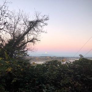 Meet your Posher, Lesley